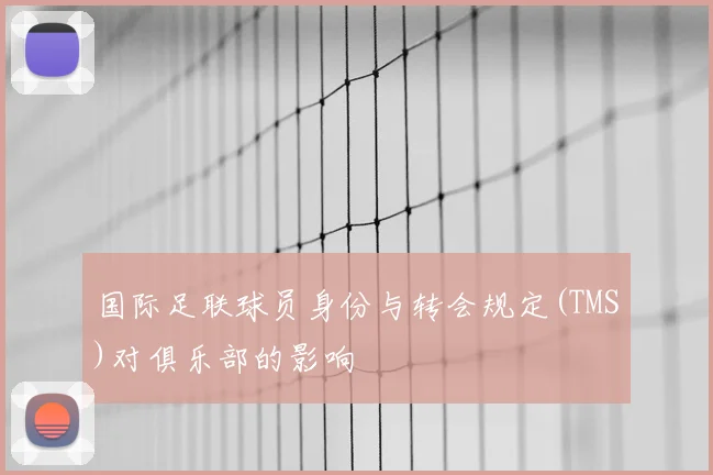 国际足联球员身份与转会规定(TMS)对俱乐部的影响