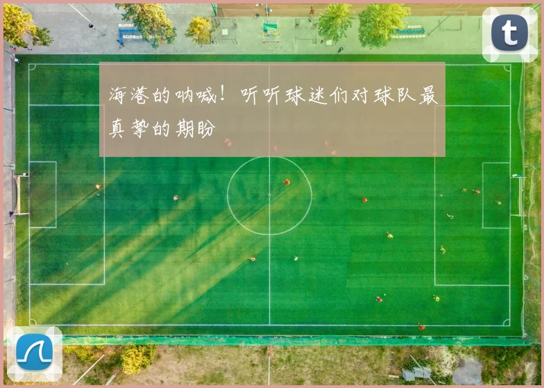 海港的呐喊！听听球迷们对球队最真挚的期盼