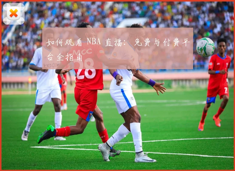 如何观看 NBA 直播：免费与付费平台全指南