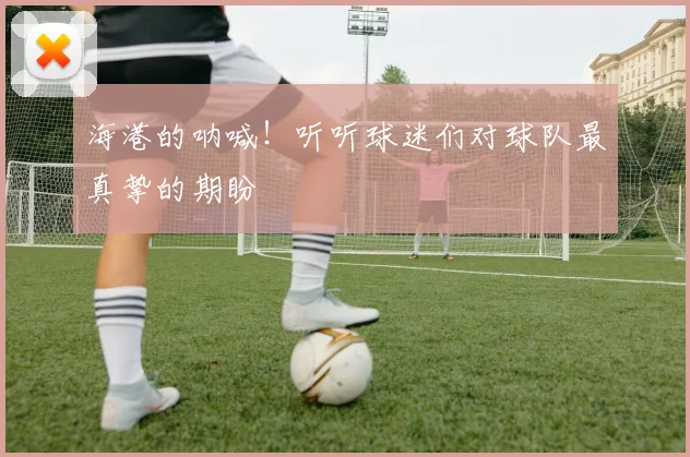 海港的呐喊！听听球迷们对球队最真挚的期盼