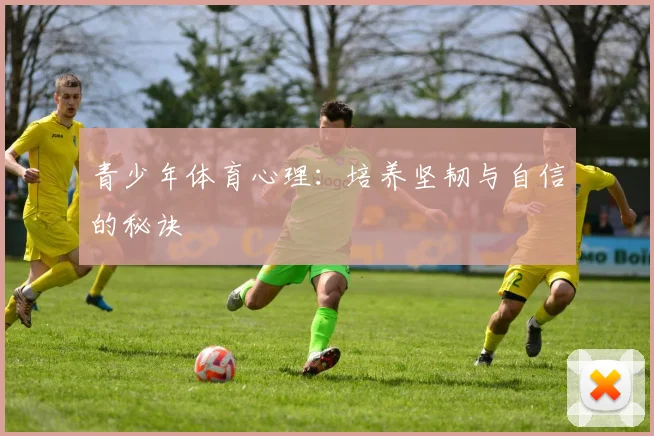 青少年体育心理：培养坚韧与自信的秘诀