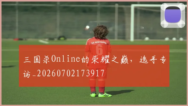 三国杀Online的荣耀之巅，选手专访_20260702173917