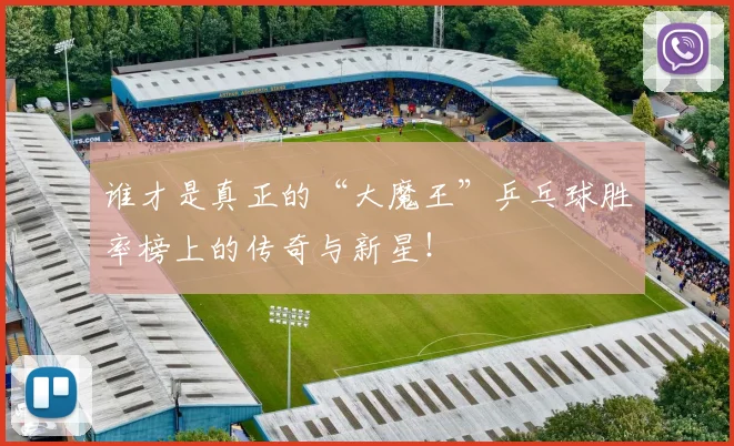 谁才是真正的“大魔王”乒乓球胜率榜上的传奇与新星！