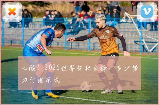 心酸!2026世界杯积分榜,多少努力付诸东流